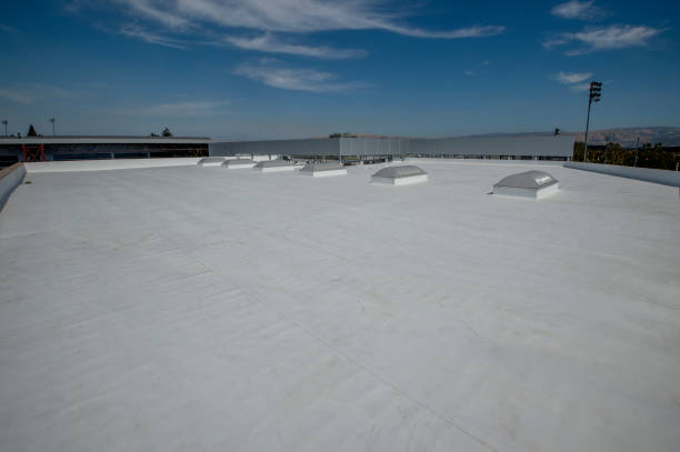 Best Roof Coating Services  in Rensselaer, IN