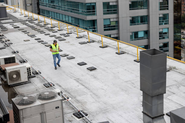 Best Hot Roofs  in Rensselaer, IN