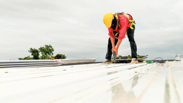 Best Sheet Metal Roofing  in Rensselaer, IN